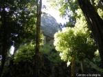 Ruinas entre la selva- TIKAL, GUATEMALA